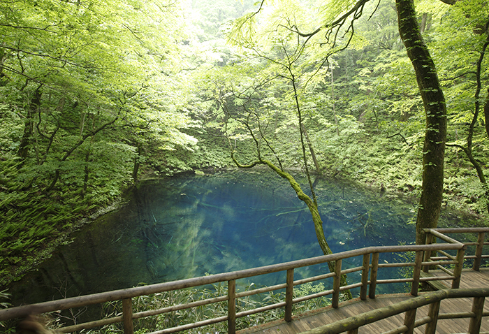白神山地十二湖散策ツアー