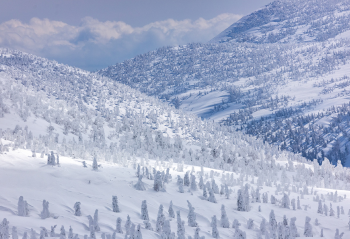 Winter Hakodate & Sukayu Onsen by Alphard