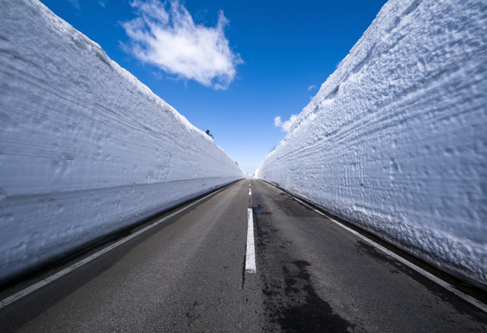 [Day trip to and from Aomori] Hakkoda Snow Corridor Drive with Alphard and Sukayu Hot Springs